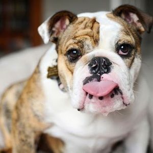 Meet your Posher, Francesca